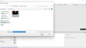 Инструкция по настройке видеоэкрана в программе HDPlayer