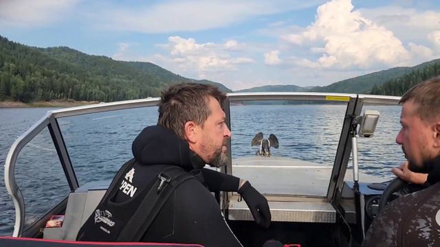 Красноярское водохранилище. Подводная охота. смотреть онлайн