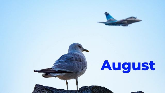 Best Image from 2021 - [Assignment for You!] смотреть онлайн