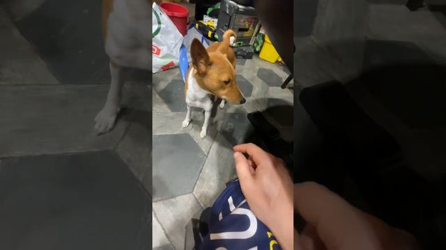 Бася тоже знает что такое палец смотреть онлайн