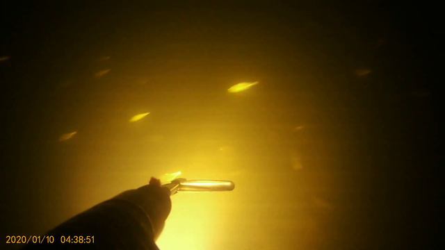 Осеняя охота на реке Лосиха. Много промахов или как не надо стрелять по рыбе. смотреть онлайн