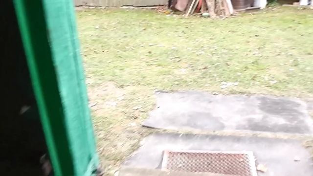 НАДОЕЛИ ЯБЛОКИ ПИЛЮ САД НА ДРОВА. РАСЧИЩАЮ МЕСТО ПОД ПРУД. смотреть онлайн