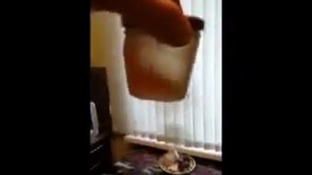 Elf Evolution RN Tech 5w40 температура минус 24 градуса смотреть онлайн