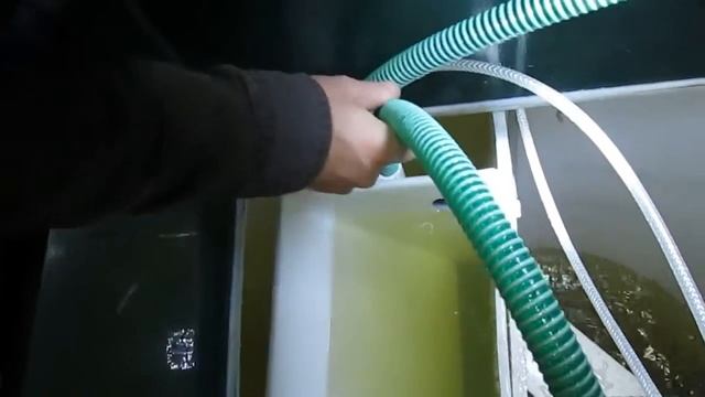 Описание работы установки BioDeka