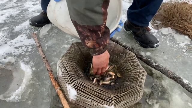 Школа ловли Налима от А до Я в Якутии смотреть онлайн