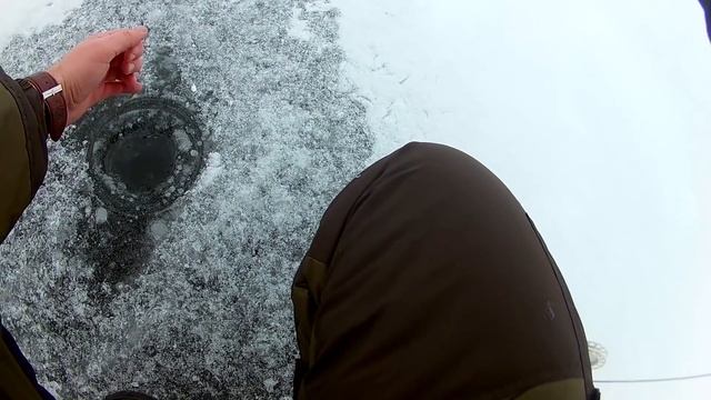 Удачная рыбалка на Жерлицы. Зимняя рыбалка 2018. Щука в Январе смотреть онлайн