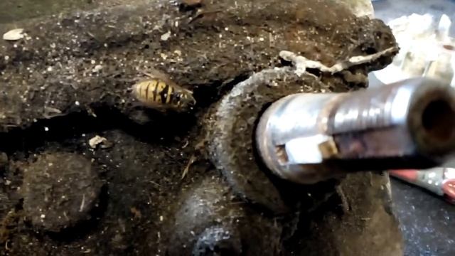 B&S ENGINE FLYWHEEL NUT WILL NOT UNDO смотреть онлайн