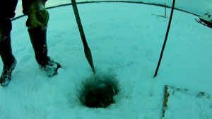 Проверка удочек. 7 день. Рекорд! Анти)))