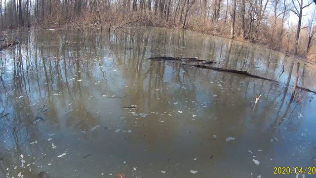 Лов Язя на поплавок смотреть онлайн