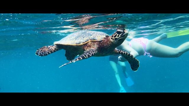 Maldives | South Ari Atoll | LUX* hotel смотреть онлайн