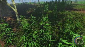 ИГРАЕМ ДИНОЗАВРОМ. Симулятор ДИНОЗАВРА - Игра SAURIAN про динозавров