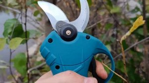 Обзор электрического секатора Violeworks, на аккумуляторах