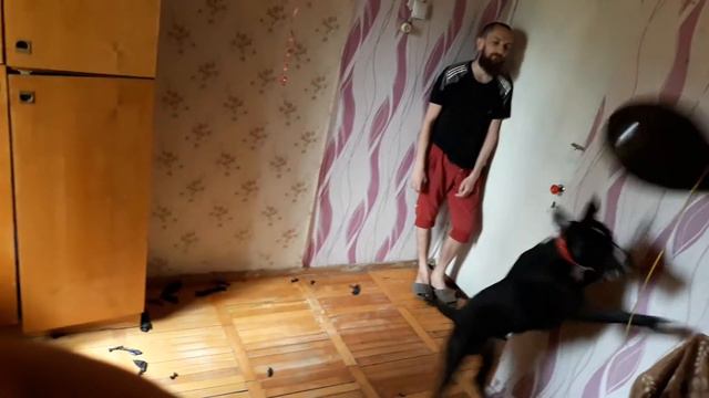09.05.2018 - Привітання З Днем Народження 3Рочки смотреть онлайн