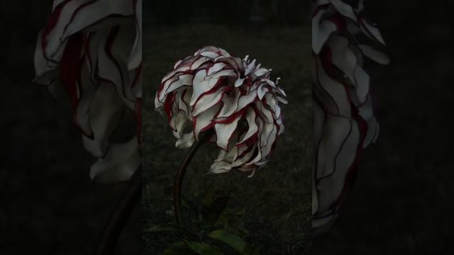 Георгины смотреть онлайн