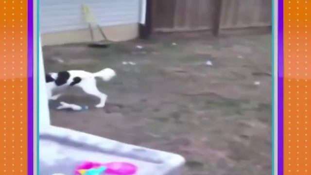 Смотреть всем 100% ПозитиФфчик обеспечен! смотреть онлайн