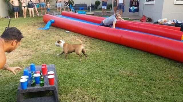 Slip n slide flippy cup drinking game смотреть онлайн