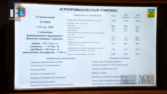 Сосновский муниципальный округ представил стратегию развития до 2030 года смотреть онлайн