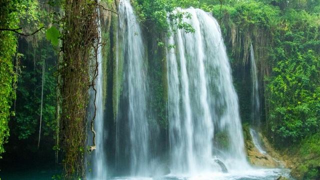 Исцеляющие вибрации поющих чаш - Тибетские чаши #тибетскиечаши #тибетскиепоющиечаши #музыкадлядуши смотреть онлайн