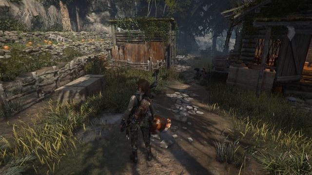 Rise of the Tomb Raider - Место испытания с курицами в Геотермальной долине смотреть онлайн