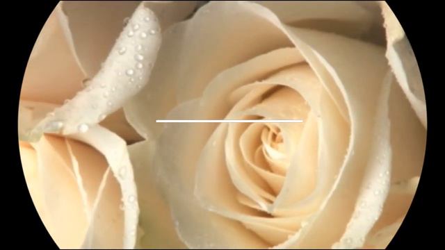 Серьги "Сакура" с натуральным розовым кварцем смотреть онлайн
