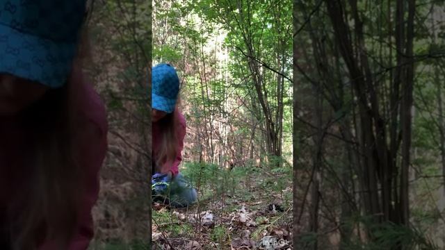 БЕЛЫЕ ГРИБЫ, жаль, что червивые смотреть онлайн