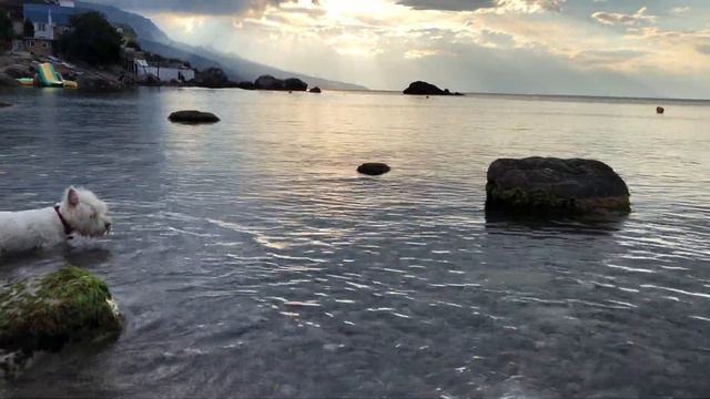 Покой и умиротворение. Живописное небо на пляже в Форосе. Журчание воды. смотреть онлайн