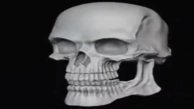 ту ду ду ду ду ду смотреть онлайн