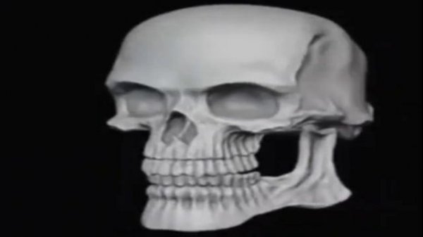 ту ду ду ду ду ду