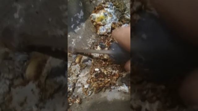 Стиральная машинка Самсунг рвет вещи смотреть онлайн