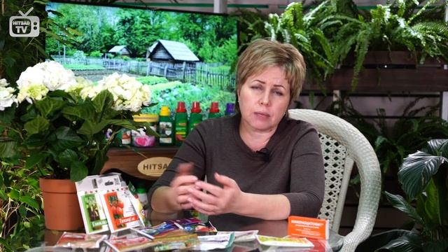 ТЛЯ, БЕЛОКРЫЛКА, ПАУТИННЫЙ КЛЕЩ ? Спасаем рассаду вместе с HitsadTV