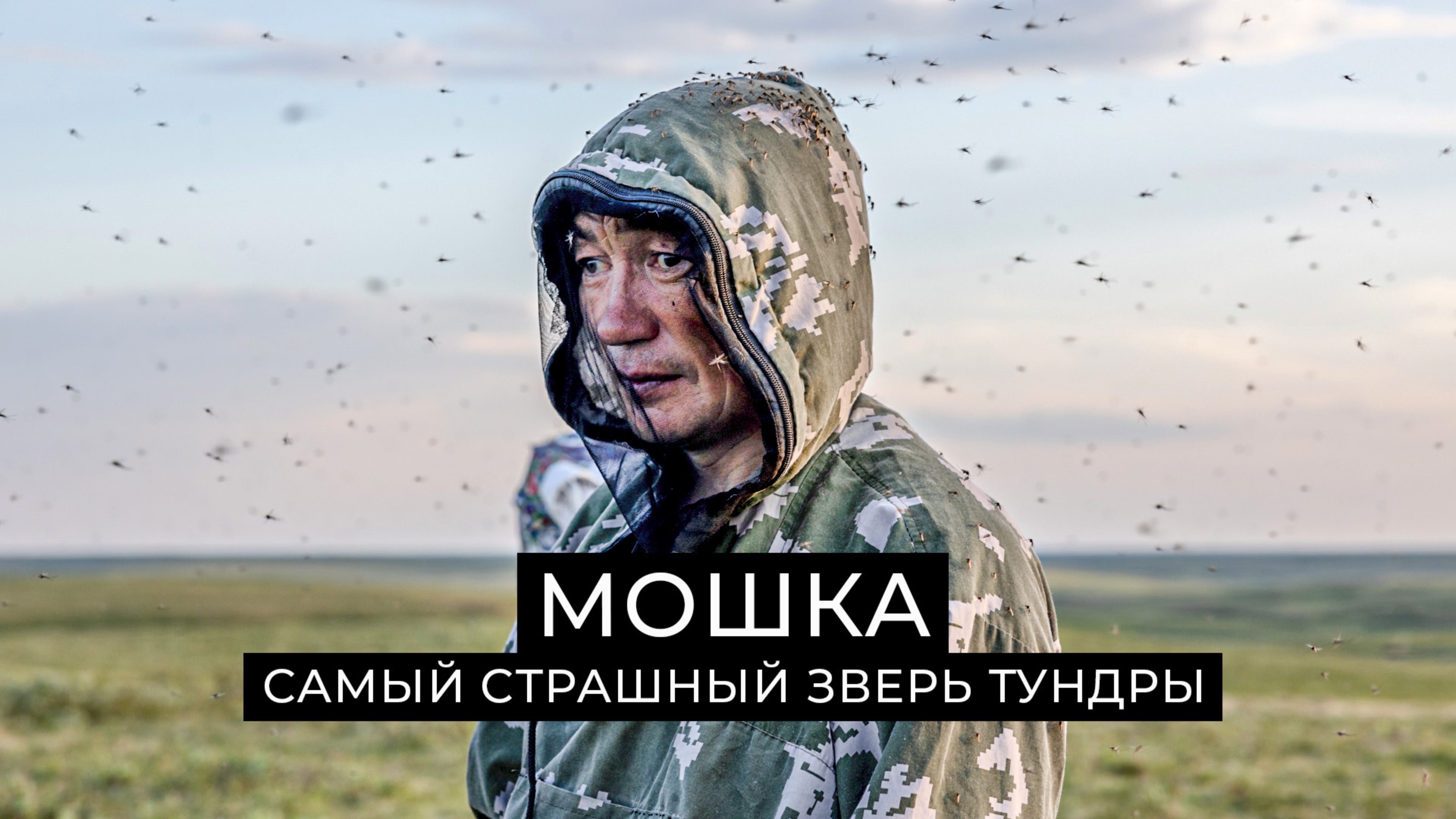 Мошка: самый страшный зверь тундры | Факты смотреть онлайн