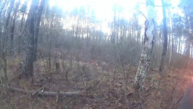 Охота на зайца и лисицу с гончими #3. 2021-2022#охота#лиса#заяц# смотреть онлайн