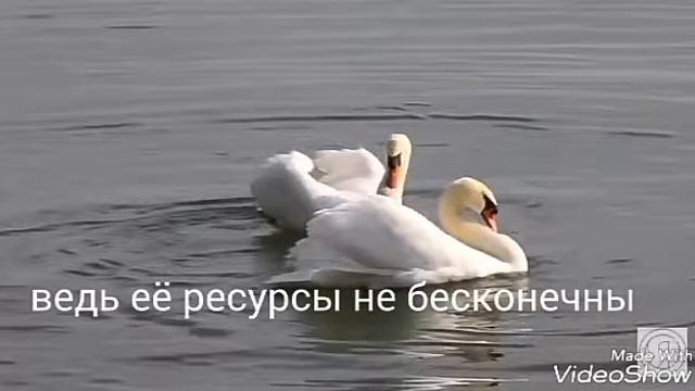 Не губите природу смотреть онлайн