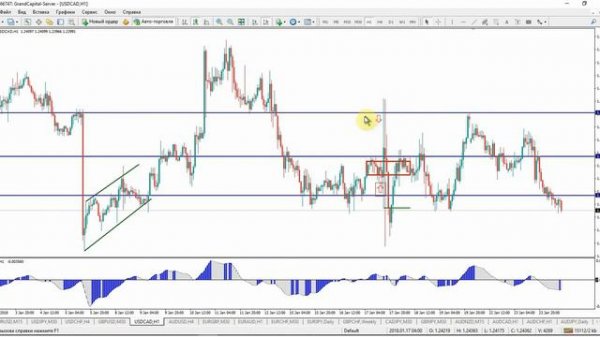 Фундаментальный анализ рынка. Основы валютного рынка.