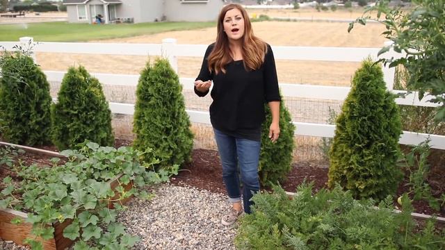 August Vegetable Garden Tour 🌿// Garden Answer смотреть онлайн