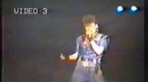 Сектор Газа  голубь