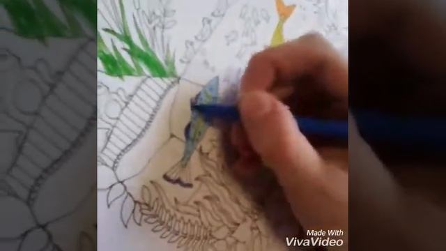 раскраска (зачарованный лес) смотреть онлайн