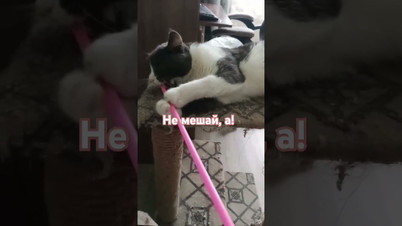 дай полежать смотреть онлайн