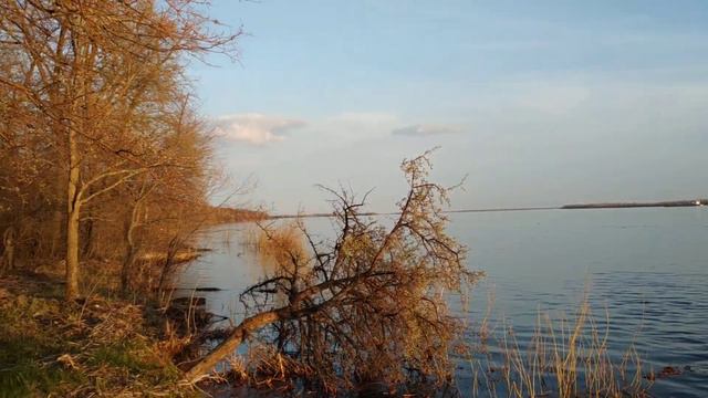 Часть 1. "Кругосветка" - Самара-Переволоки-Самара на "моторе". Район Брусян. Дубы, закат. смотреть онлайн