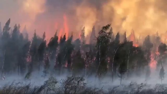 Лесной пожар в Чурапчинском улусе (Якутия, 10 августа 2021) смотреть онлайн