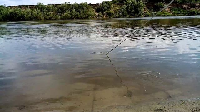 Кастинговая сеть. Рыбалка на Чумыше. Амереканка 5м.Алтайский край.