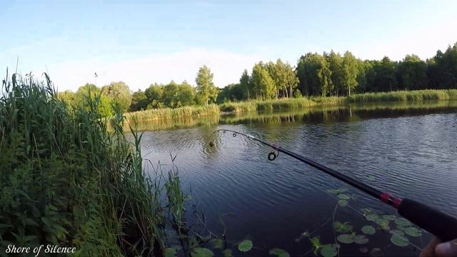 СУМАСШЕДШАЯ РЫБАЛКА! КЛЁВ просто бомба. РЫБАЛКА на ДОНКИ. Я ОБАЛДЕЛ от ГОРИЗОНТАЛЬНЫХ ПОКЛЁВОК. смотреть онлайн