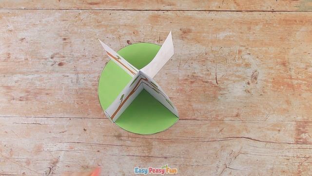 3D Butterfly Life Cycle Paper Craft смотреть онлайн