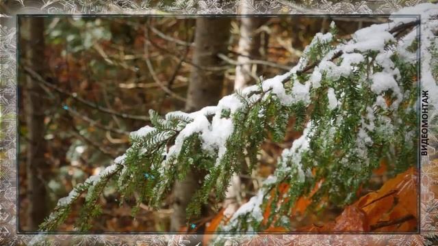 С днем рождения мужчине! Красивое поздравление с днем рождения в НОЯБРЕ смотреть онлайн