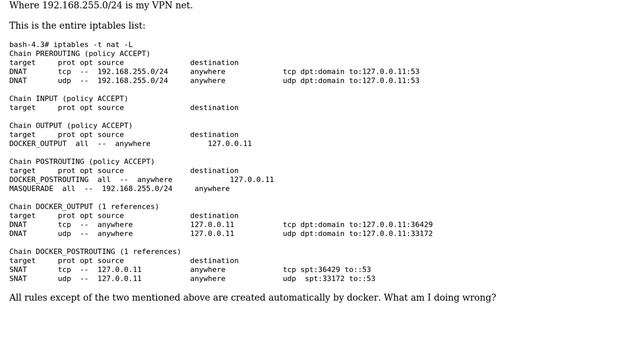 DevOps & SysAdmins: Forward incoming external DNS packets to the embedded docker DNS смотреть онлайн
