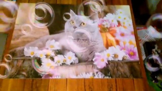 Я СОБРАЛЛЛ! ПАЗЛ смотреть онлайн