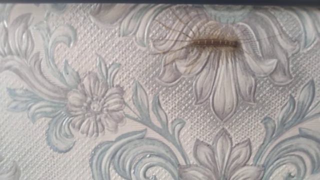 моя первая преданная поклонница смотреть онлайн