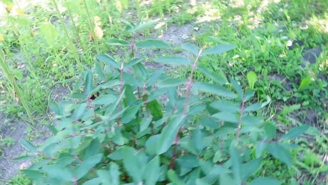 Дизайн и Оформление Сайтов