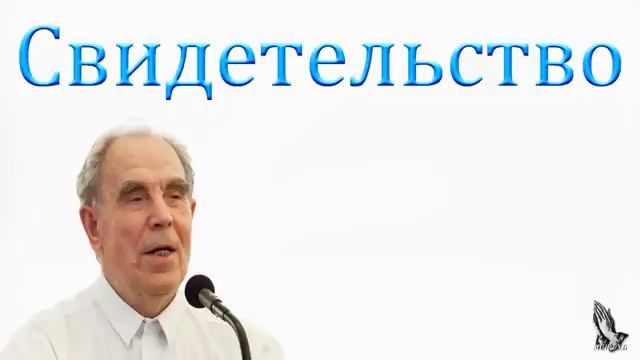 Свидетельство. Моша В.К. смотреть онлайн