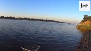 РЫБАЛКА НА ДОНУ 2020. Сазан на макуху.